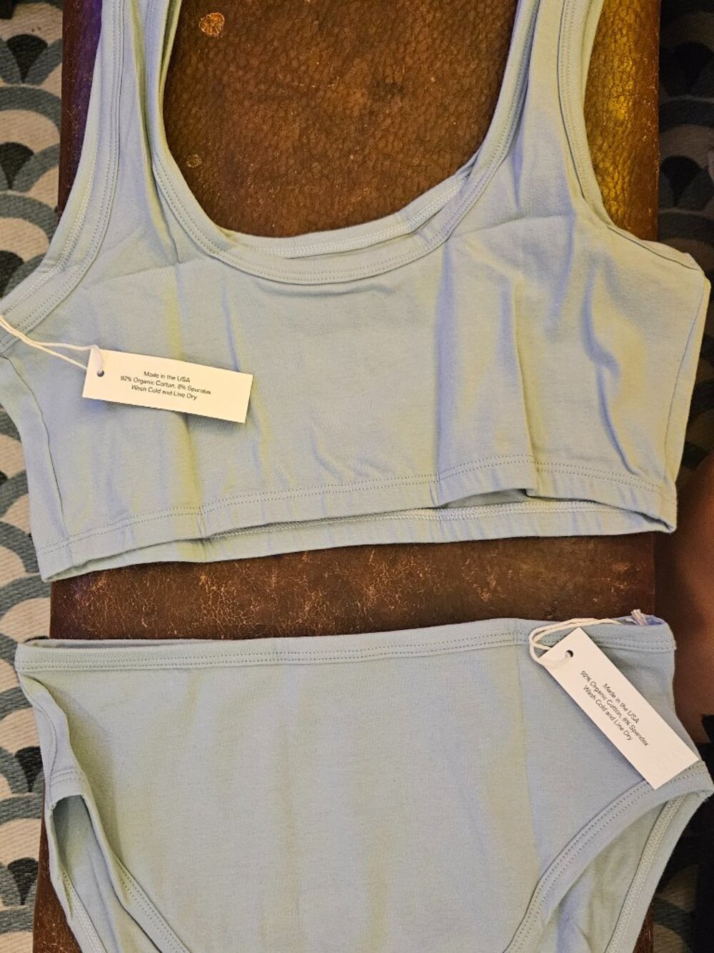 NWT Tags ARQ Full-Coverage Bra and Misha Undies MATCHING SET in Bluebell Size L